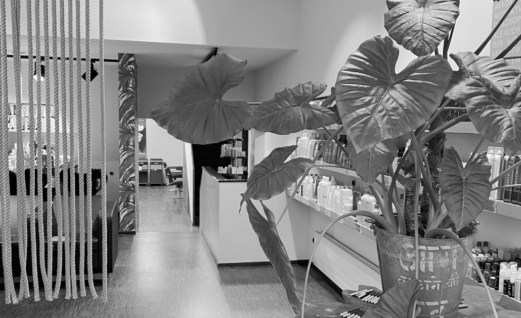 Friseur Brodbeck